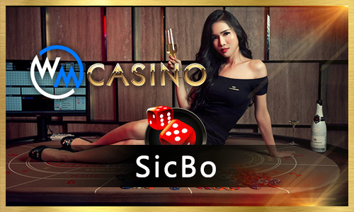 81bet 888bets cassino Terminal móvel