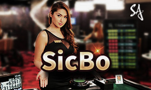 81bet bac bo cassino Jogue online