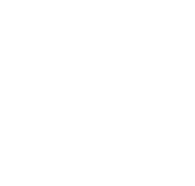 81bet